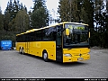 Dacke_Buss_CHO589_Langasjo_100928